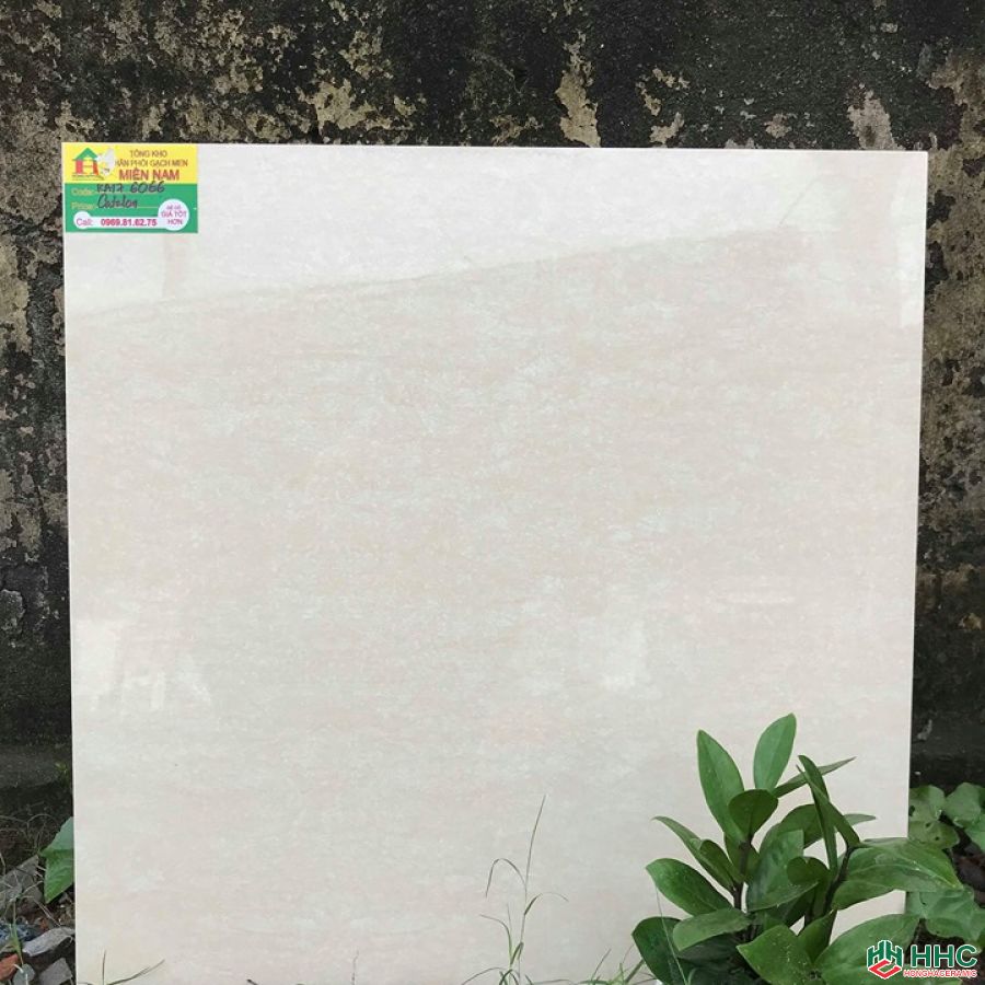 Gạch lát nền catalan 60x60 K176066